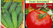 Во Владимирской области забраковали «Дашку–хрустяшку» и «Семена безголового»
