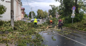 Во Владимире ураган "Эдгар" повалил около 50 деревьев