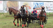 В эти выходные в Петушинском районе проходит летний фестиваль русских троек и Сырмарка