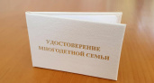 Во Владимирской области начнут выдавать новые удостоверения для многодетных семей