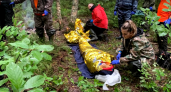 Ушли за ягодами и не вернулись: волонтеры рассказали о поисках двух пенсионерок, которые заблудились в лесу 