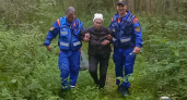 86-летняя бабушка ушла в лес в Камешковском районе и потерялась