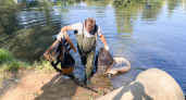 Во Владимире волонтеры убрали мусор в районе нижнего Красносельского пруда 