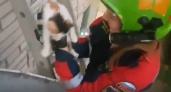 Владимирские спасатели пришли на помощь котенку-«летяге»