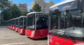 19 новым владимирским автобусам не нашли перевозчика 