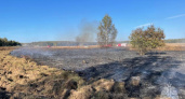 Во Владимирской области потушили ландшафтный пожар на 25 гектаров