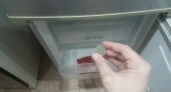 "Положите в морозилку монетку перед отпуском и живите спокойно": 2 совета, которые могут вас спасти