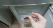 "Положите в морозилку монетку перед отпуском и живите спокойно": эти 2 совета могут вас спасти