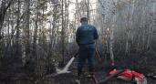 Во Владимирской области большинство лесных пожаров произошло по вине местных жителей 