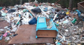 В лесу в Камешковском районе обнаружили несанкционированную свалку 