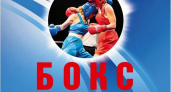 Во Владимирской области стартует всероссийский турнир по боксу «Динамо»