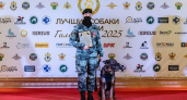 Владимирский кинолог и ее напарник Яр признаны лучшими в России 