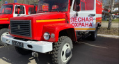 Из-за малоснежной зимы во Владимирской области уже готов сводный план тушения лесных пожаров