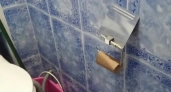 Втулки от туалетной бумаги помогут вам решить ряд домашних проблем — не выбрасывайте их