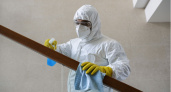 Во Владимирской области сделают лицензируемыми услуги дезинфекции 