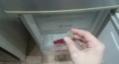 "Положите в морозилку монетку перед отпуском и живите спокойно": эти 2 лайфхака могут вас спасти