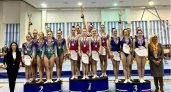 Гимнасты Владимирской области взяли 14 медалей из 18 в чемпионатах ЦФО