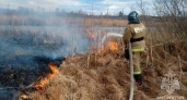 Во Владимирской области более 258 раз горела сухая трава и мусор в 2025 году
