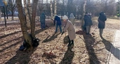 Во Владимирской области подвели итоги первого в 2025 году субботника
