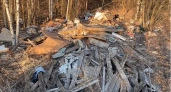 Жители Суздальского района страдают из-за огромной свалки в лесу