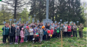 Владимирская область вновь присоединится к Всероссийской акции «Сад памяти»