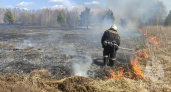 В Суздальском районе ликвидируют пожар на 15 гектарах