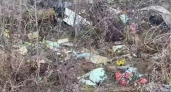 В Золотково выявили угрожающую питьевой воде и экологии поселка свалку