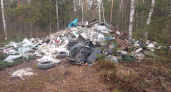 Во Владимире после вмешательства прокуратуры ликвидировали несанкционированную свалку 