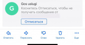Жителей Владимирской области предупреждают об опасных рассылках с фальшивых госуслуг