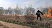 Под Владимиром пожарные тушили возгорание сухой травы