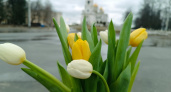 Добавьте 1 таблетку в вазу – и тюльпаны простоят 2 недели: сохранят свежесть и аромат надолго