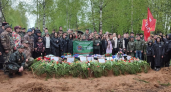 Владимирские поисковики обнаружили останки воина во время экспедиции «Вахты Памяти»