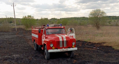 Владимирские спасатели за сутки ликвидировали два ландшафтных пожара