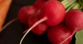 Кладу 5 ложек на ведро, и редис вырастет крупным и сочным: в мае обязательно сделайте 2 подкормки