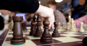  Юные владимирские шахматисты сразились за путевку в «Артек»