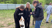 Вяткинские школьники побывали в приюте для бездомных животных