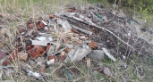 В Селивановском районе выявлены 12 незаконных свалок