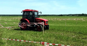 «День поля-2025» пройдет в Меленковском районе 24 июня