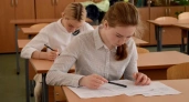 Во Владимире девять выпускников получили 100 баллов на ЕГЭ-2025