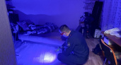 Жителю Владимира грозит 15 лет тюрьмы за убийство инвалида