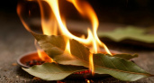 Зажгите лавровый лист в квартире - лишь единицы знают, для чего это нужно 