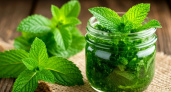 Банки опустеют мгновенно: необычное варенье из мяты — готовится элементарно