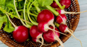 Забудьте про горькую редиску: этот простой трюк сделает её сочной и сладкой 