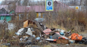 Жительница Лихой Пожни добивается ликвидации опасной свалки под Вязниками