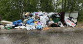 В Гороховецком районе наказали компанию за невывоз мусора