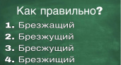 Каждый третий взрослый не знает правильное написание: определите свой уровень -  тест на грамотность