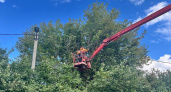 Во Владимире в микрорайоне Верхнее Сельцо провели санитарную обрезку и уборку поросли