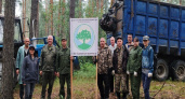 В Гусь-Хрустальном районе волонтёры и лесники очистили лес у посёлка Золотково
