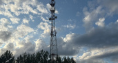 Владимирские чиновники проиграли спор с мобильным оператором из-за вышки