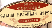 Два гран-при и сотни спецпризов — итоги «Самой красивой деревни»